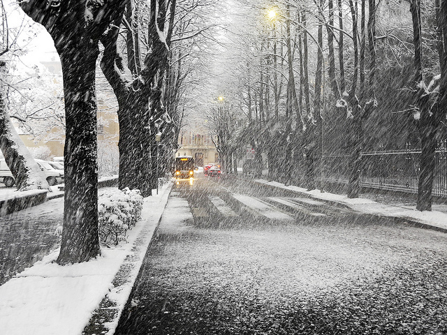 "Snowy road" 